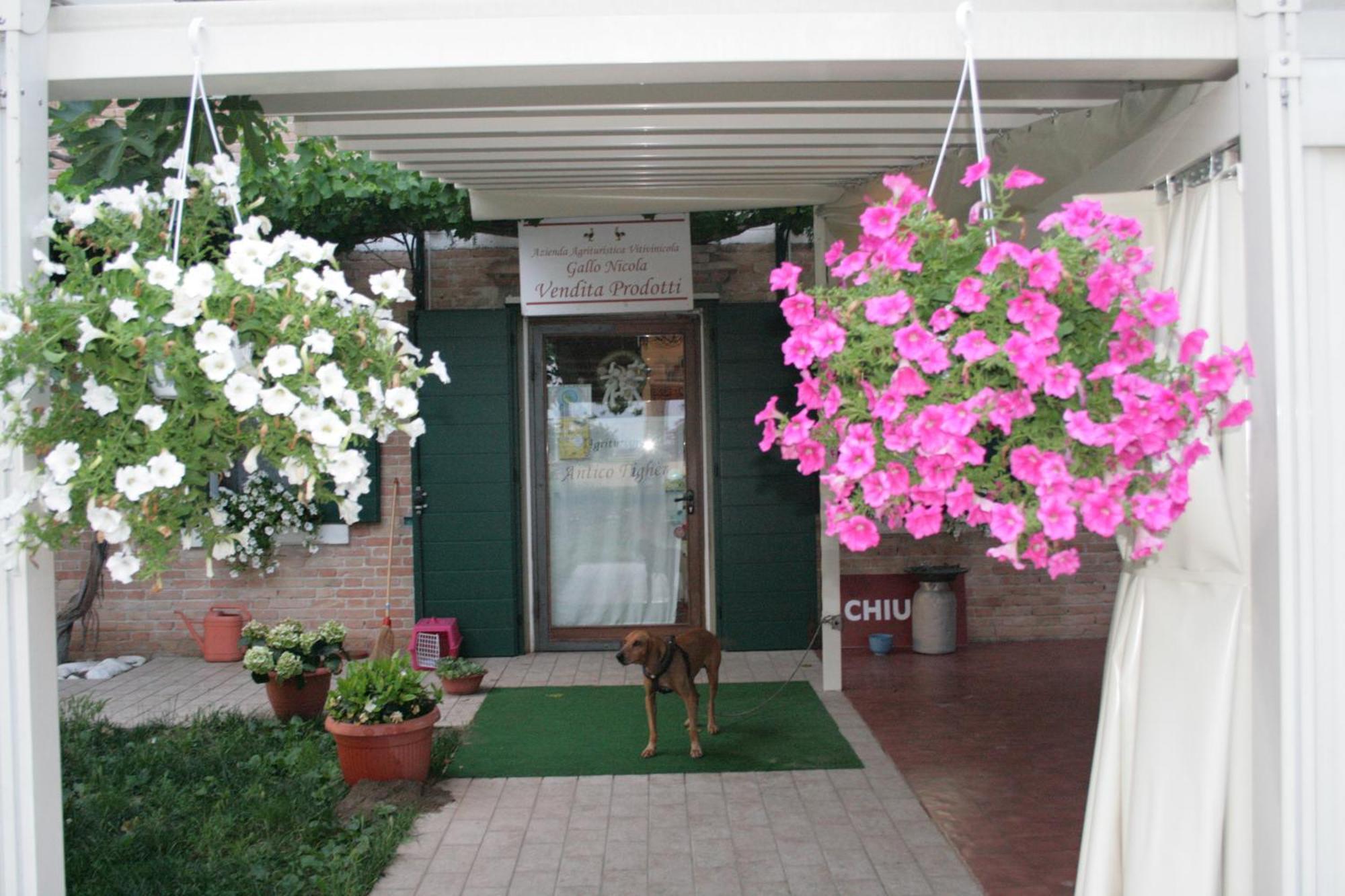 Locanda Antico Figher Villa Musile di Piave Kültér fotó