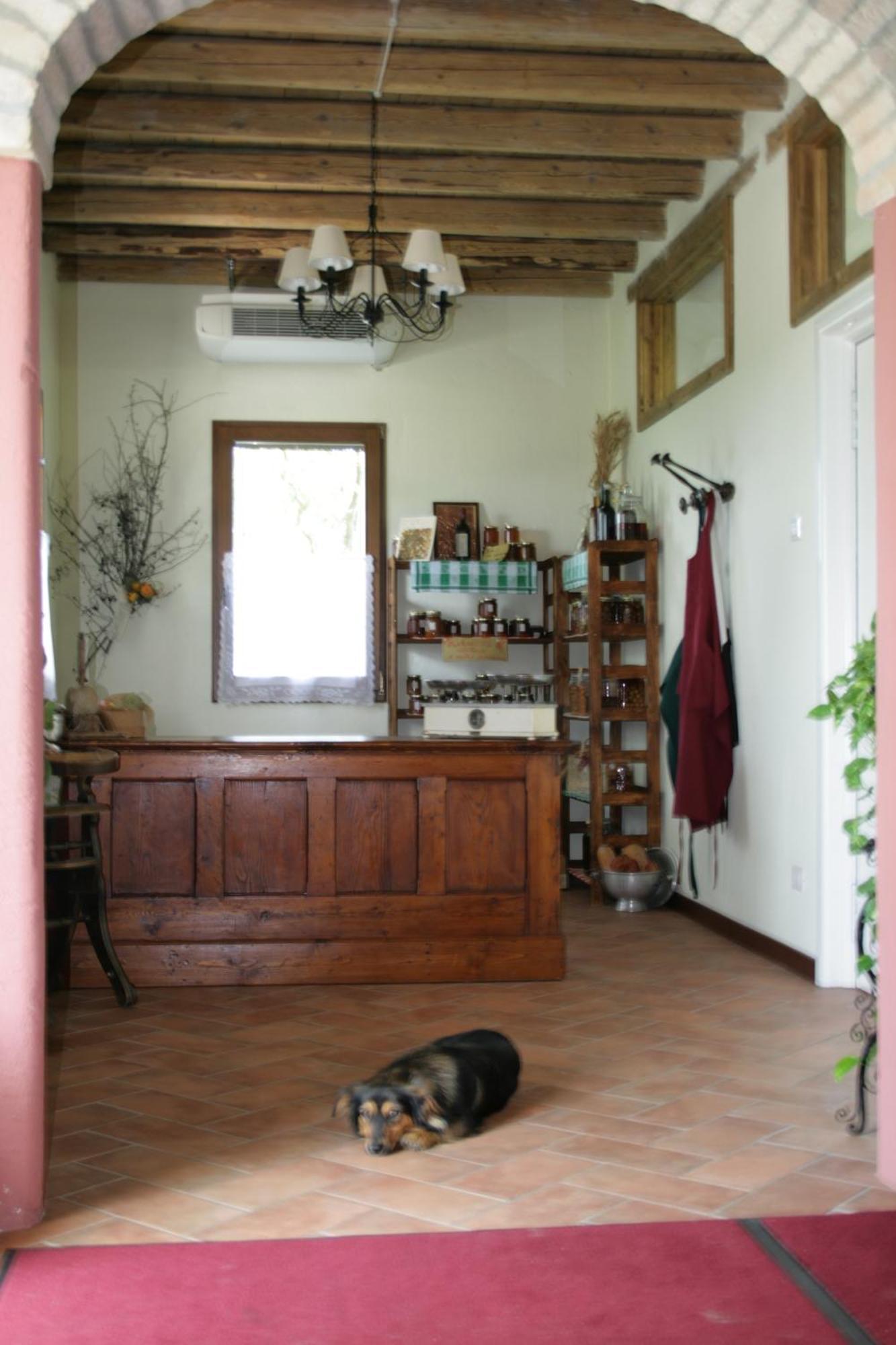 Locanda Antico Figher Villa Musile di Piave Kültér fotó